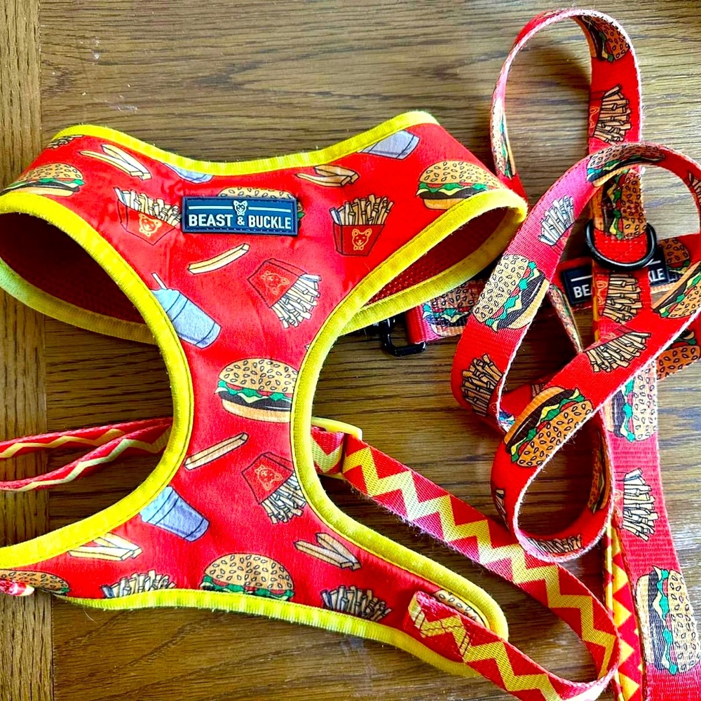 Dog Harness/Leash Set 🐾 — Beast & Buckle